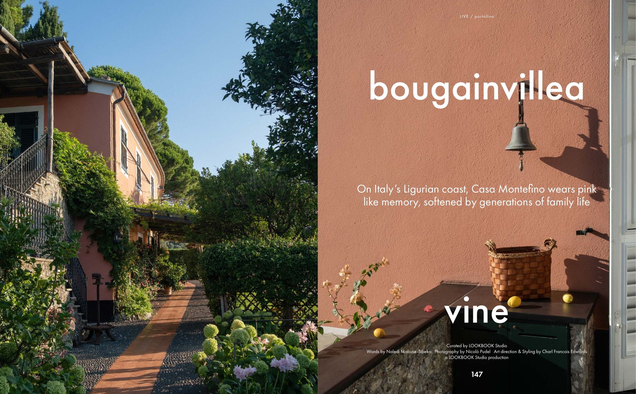 Magazine spread featuring a pink coastal house covered in ivy on the left and a magazine cover for Bougainvillea Vine on the right.