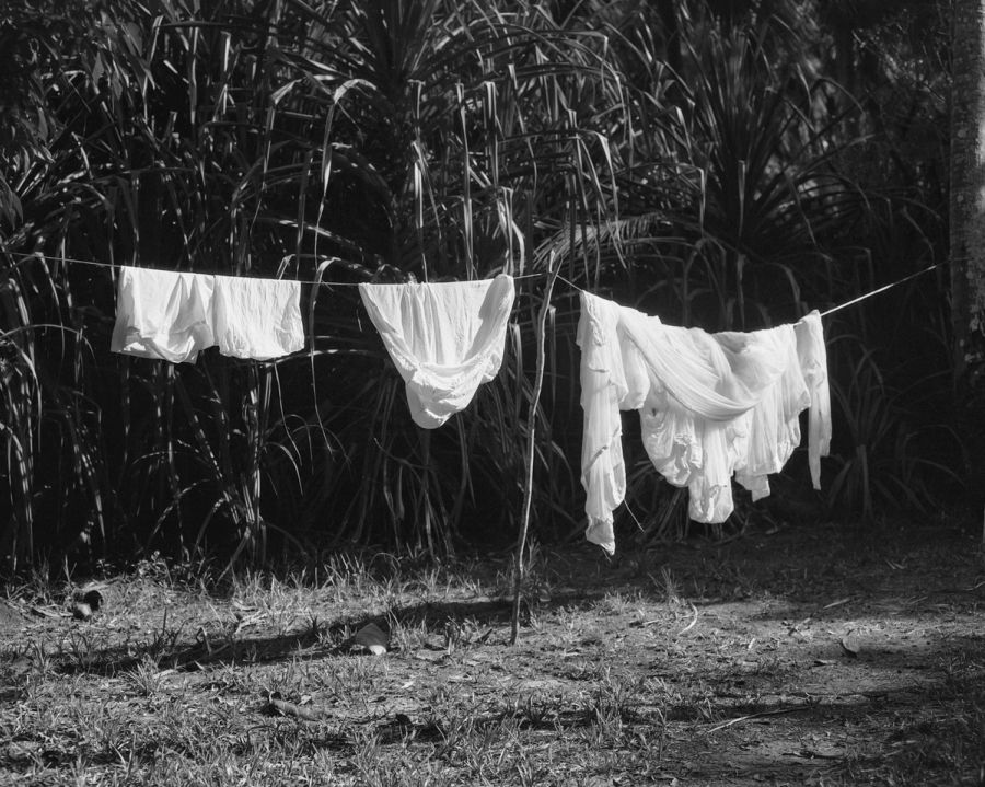 Film photograph by Nicolò Pudel