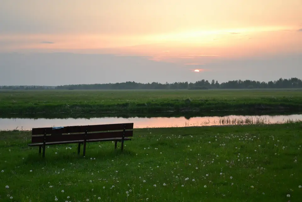 A bench by a Biebrza oxbow at sunset