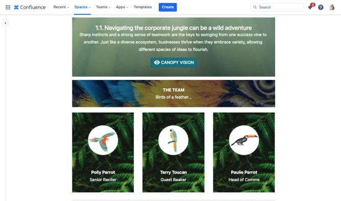 A Confluence page split into sections with rainforest-themed backgrounds to highlight different content