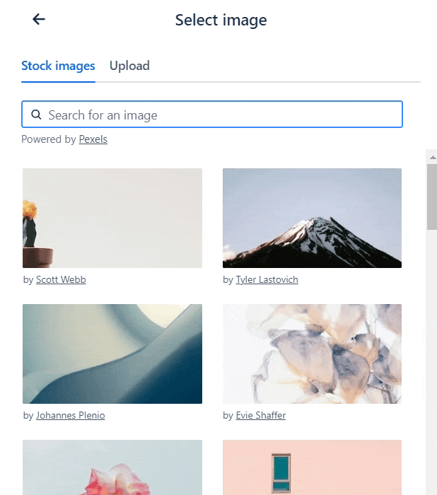 A GIF of a user typing into the stock images search bar