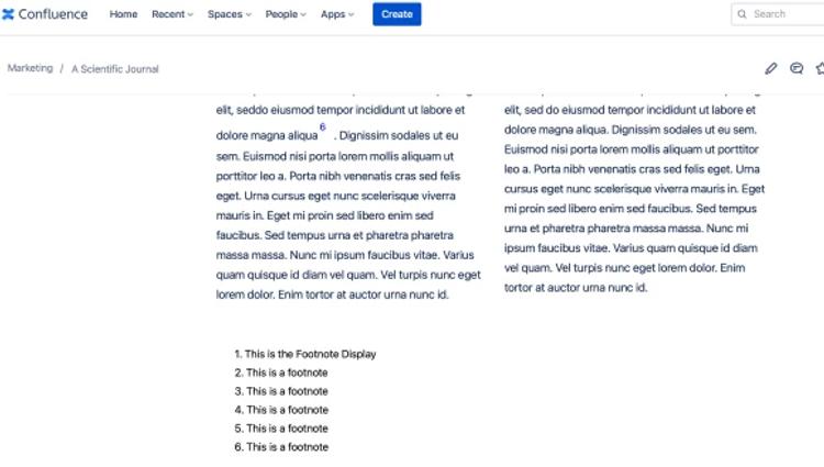 A screenshot of a Confluence page with footnotes listed under text