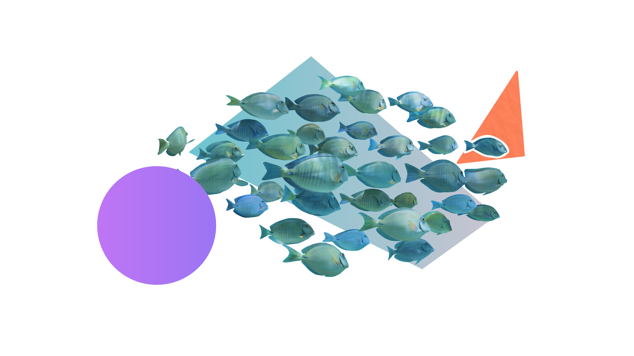 A school of fish surrounded by colourful shapes