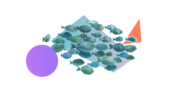 A school of fish surrounded by colourful shapes