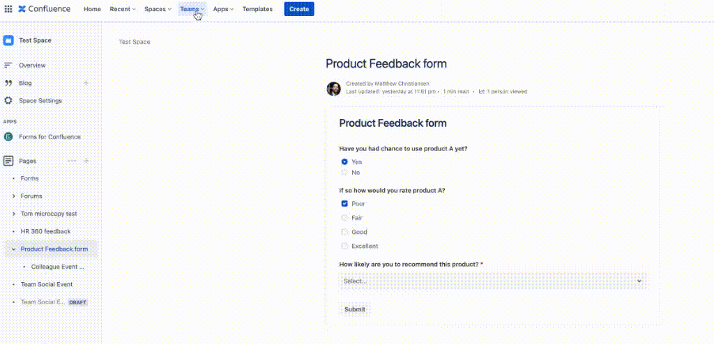 Screenshot of Form in Confluence