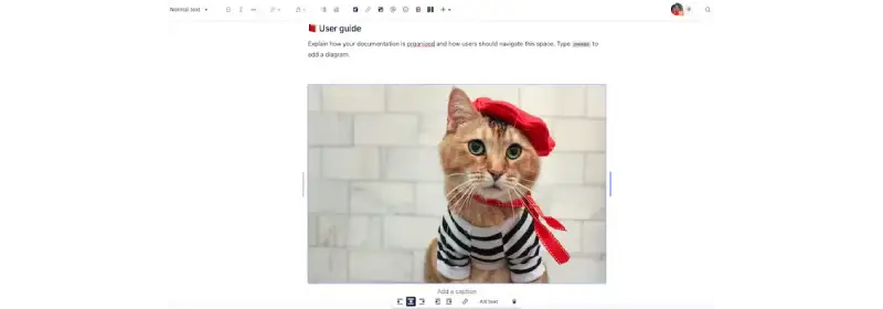 A Confluence page with an image added to it