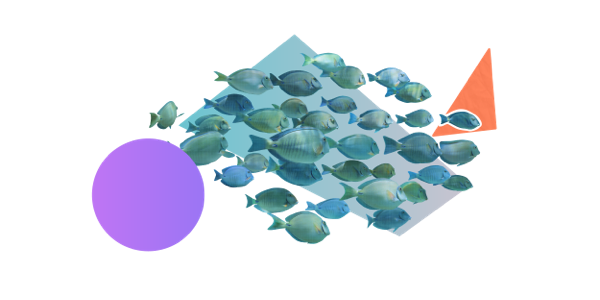 A school of fish surrounded by colourful cut-out shapes