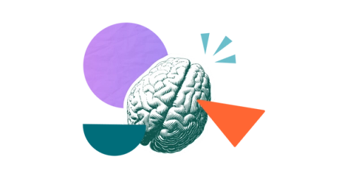 An illustration of a brain to represent a knowledge worker