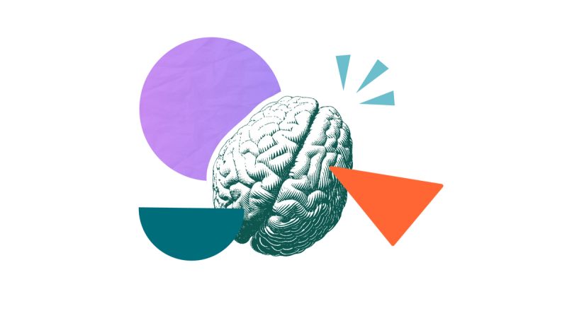 An illustration of a brain to represent a knowledge worker