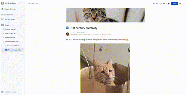 A screenshot of a cat gif inserted in a Confluence page
