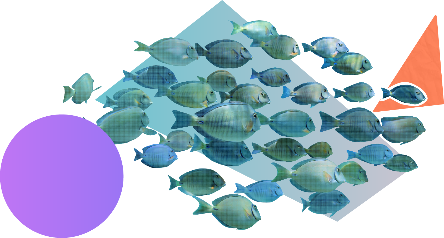 A school of fish surrounded by colourful shapes