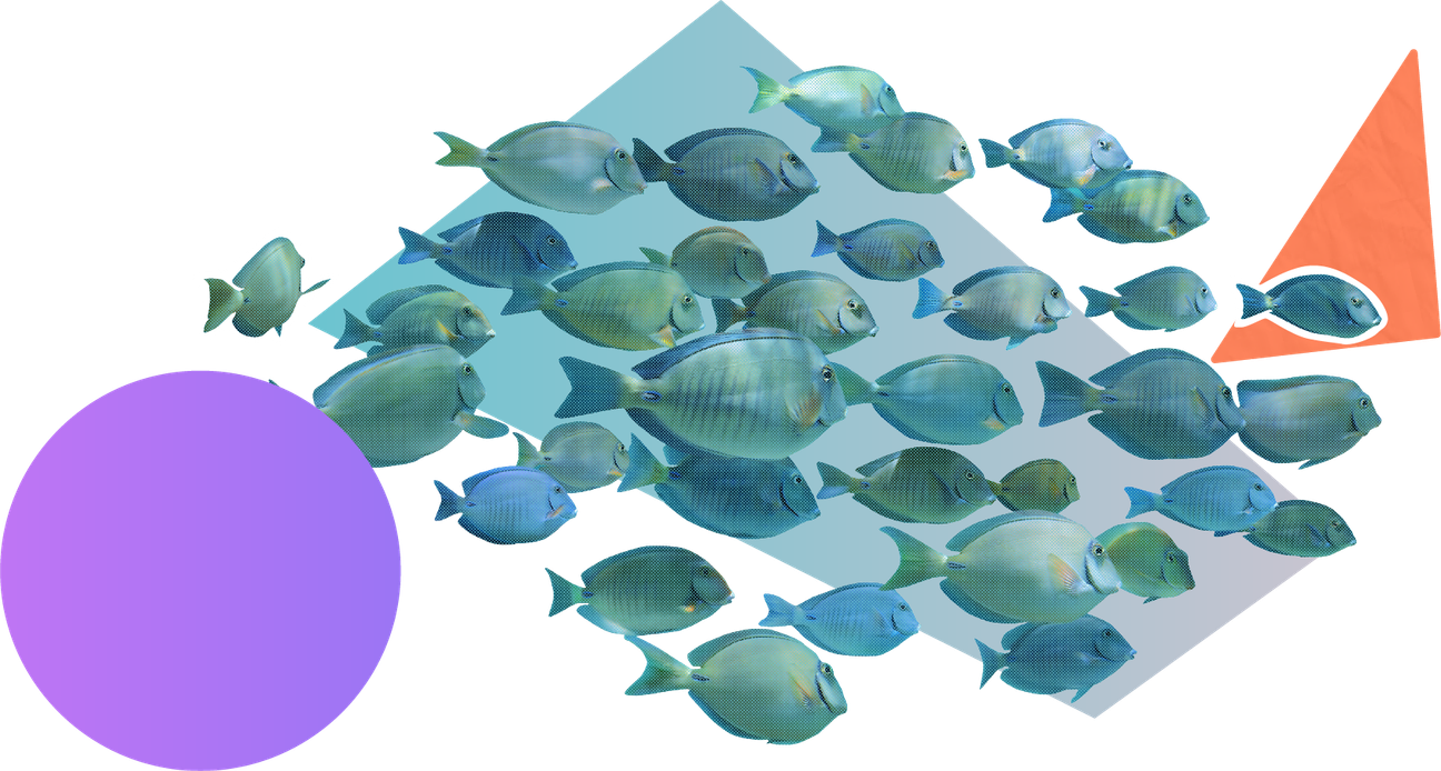 A school of fish surrounded by colourful shapes