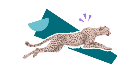 A cheetah in full flight against a stylised background