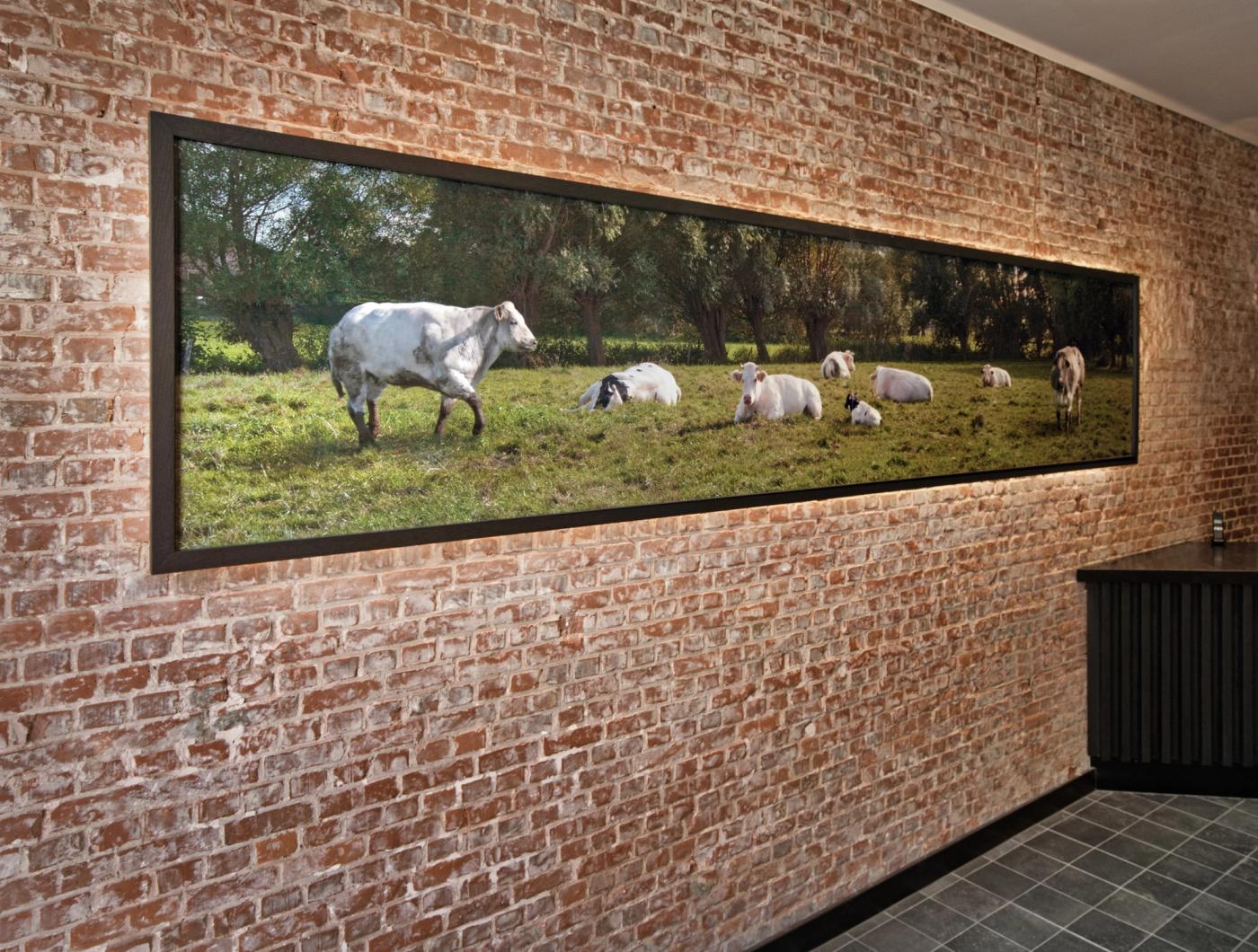 Bakstenen wand met een lange foto van koeien in de wei bij Slagerij Verstappen.