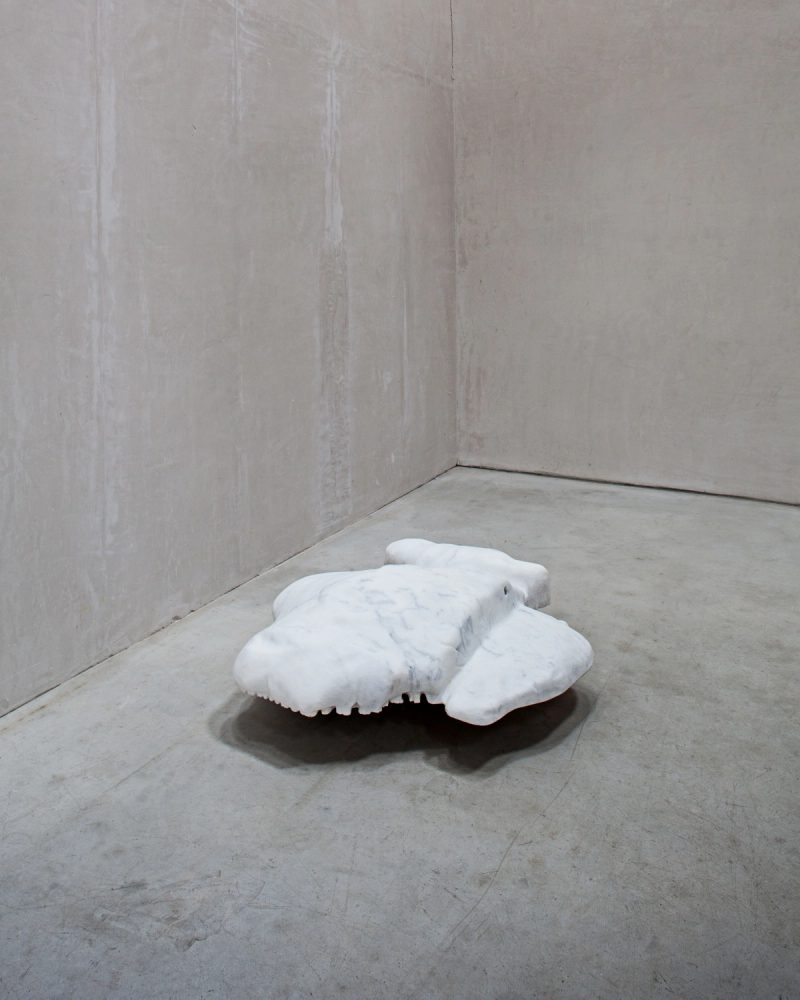 Not Vital, NotOna, 2011, sculpture