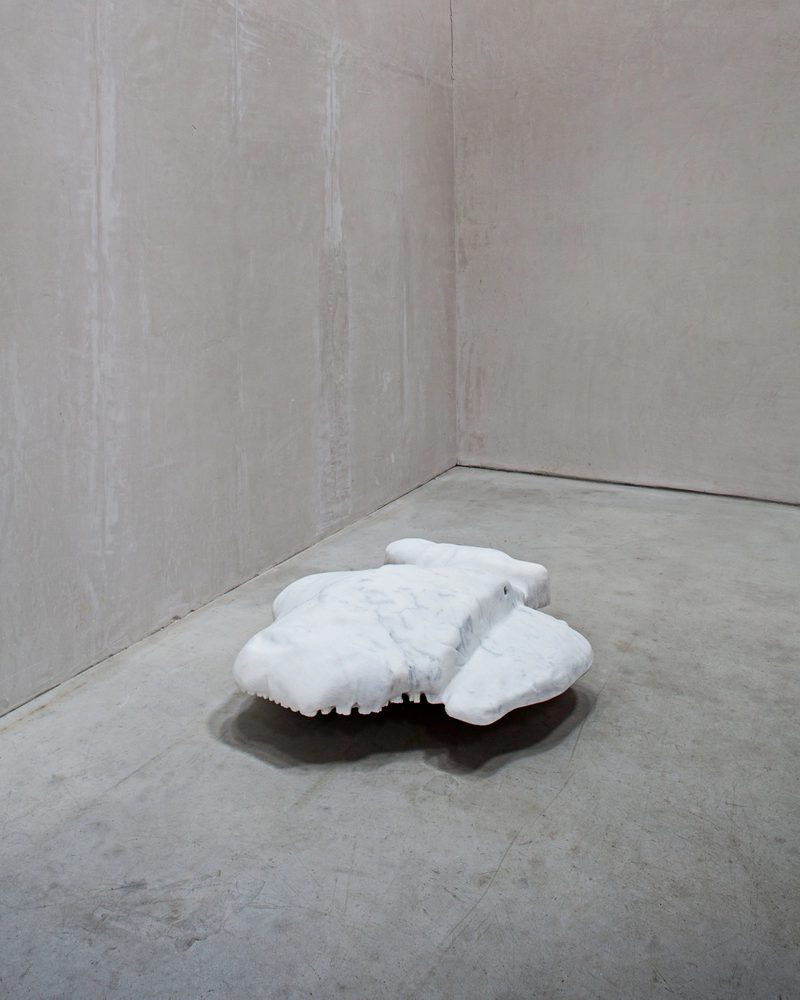 Not Vital, NotOna, 2011, sculpture