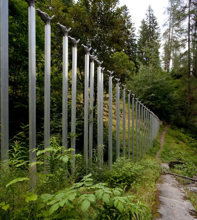 Not Vital, Donkey Bridge, SCARCH