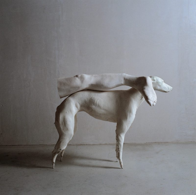 Not Vital, Greyhound Carrying My Broken Leg, 1997