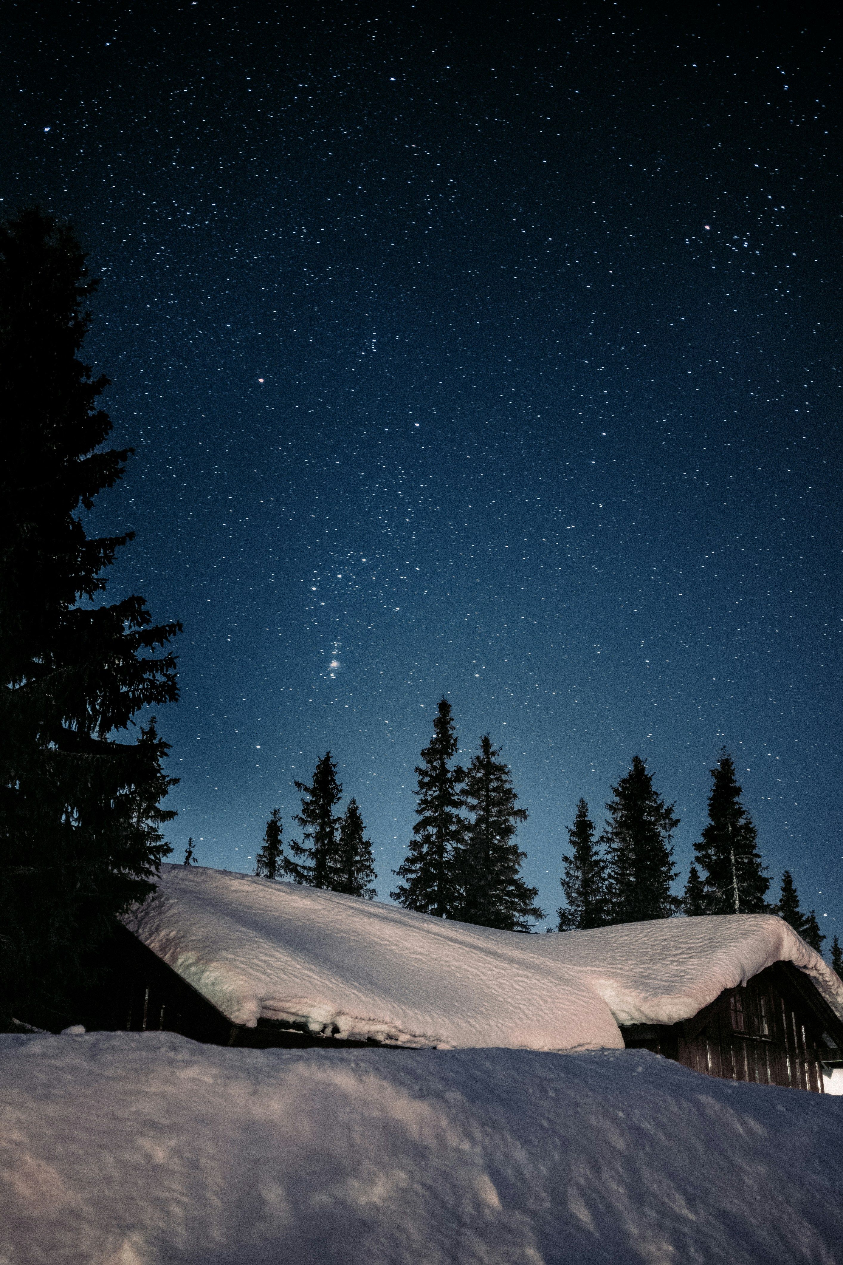 Stjerneklar nattehimmel og snødekket landskap. Foto: unsplash.com