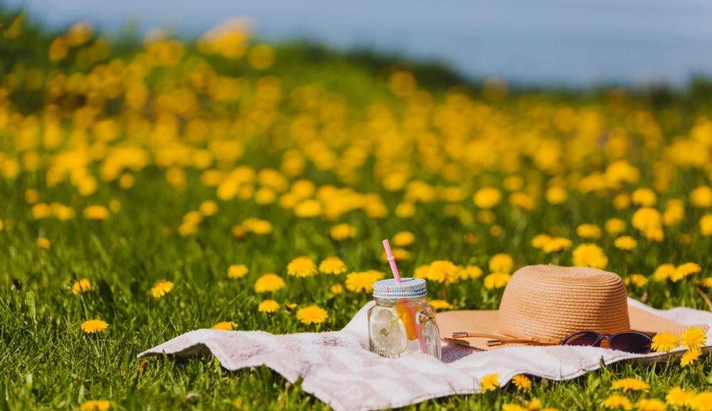 Sangen Smak av honning av Lars og Per Lillo-Stenberg