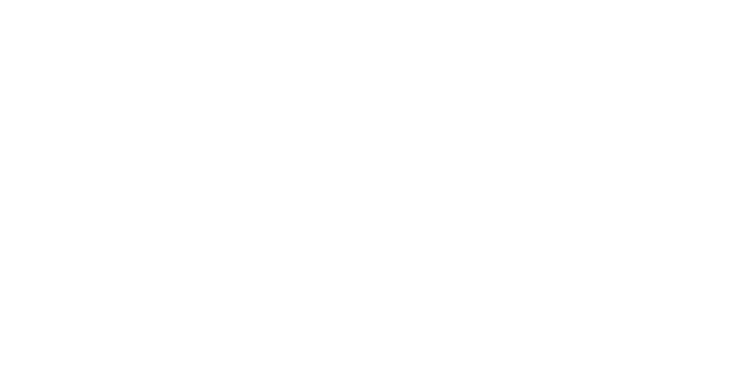 fleshfilmhouse