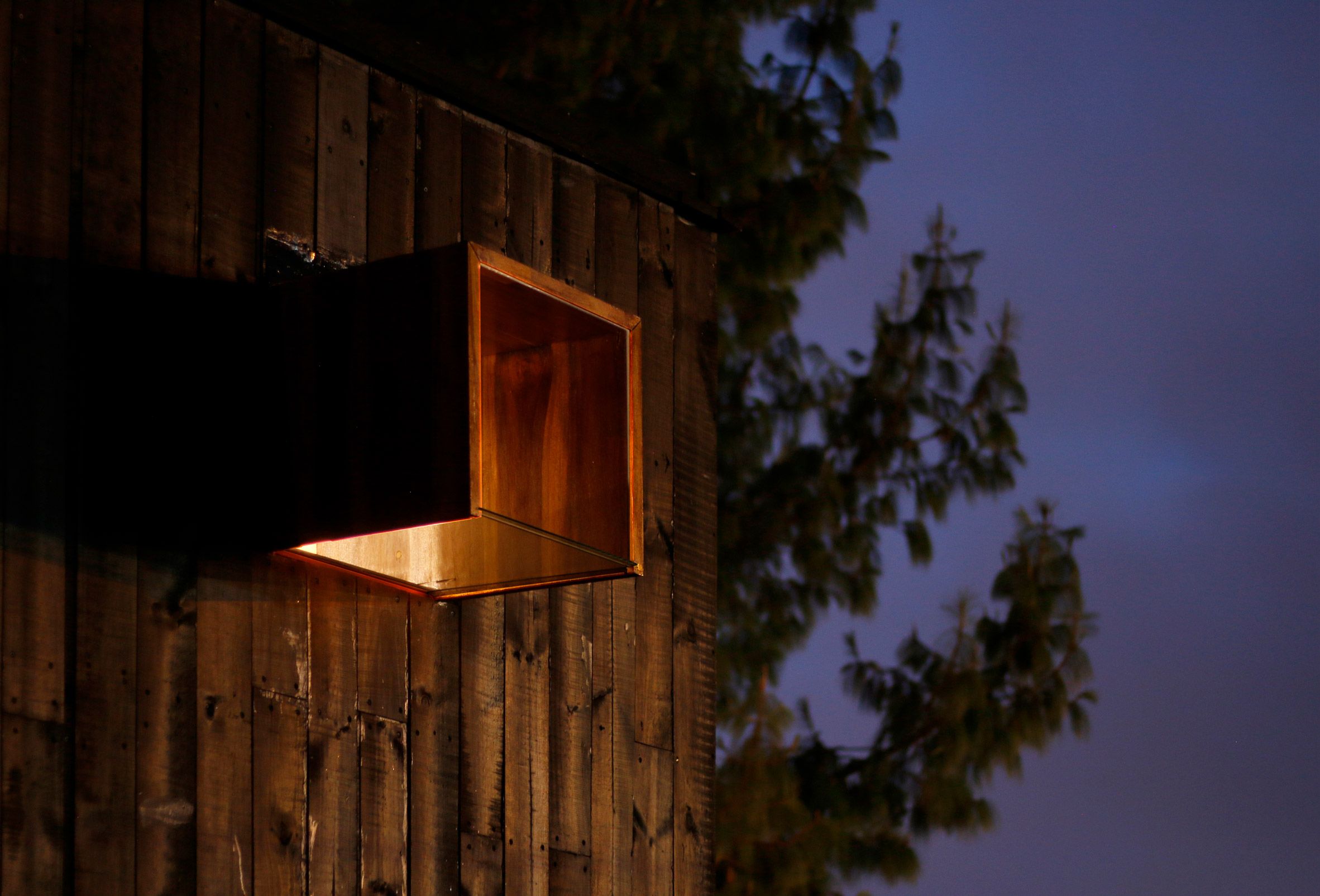 Case Study #5 - House on the Mist