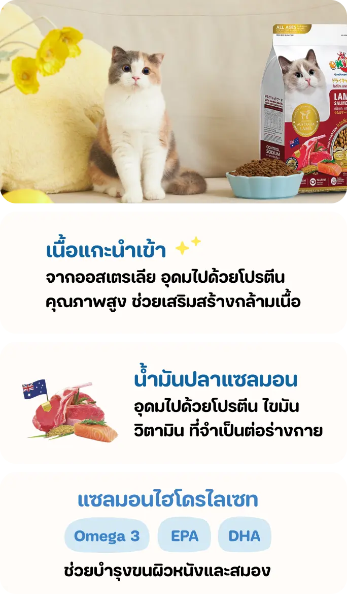 OKIKO อาหารเม็ดแมว สูตรแกะ แซลมอน ข้าว ขนาด 350 กรัม สำหรับแมวทุกช่วงวัย OKIKO อาหารเม็ดแมว สูตรแกะ แซลมอน ข้าว ขนาด 350 กรัม สำหรับแมวทุกช่วงวัย