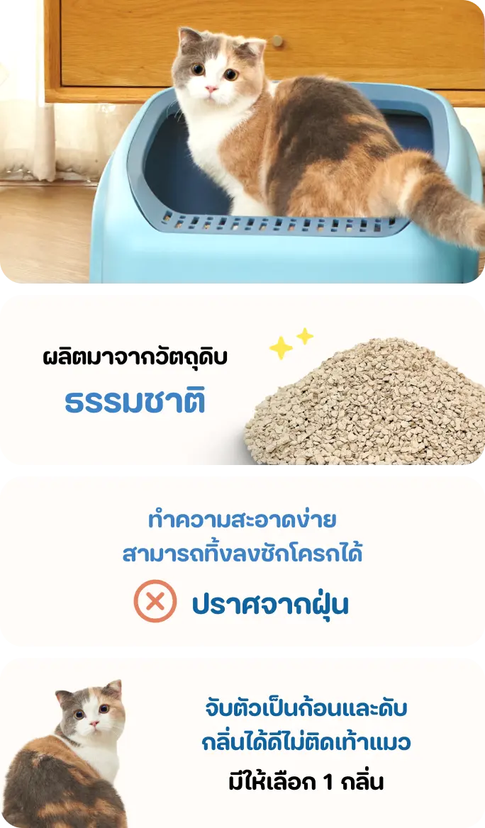 OKIKO ทรายแมวหินภูเขาไฟ 5 Powers ขนาด 12 ลิตร