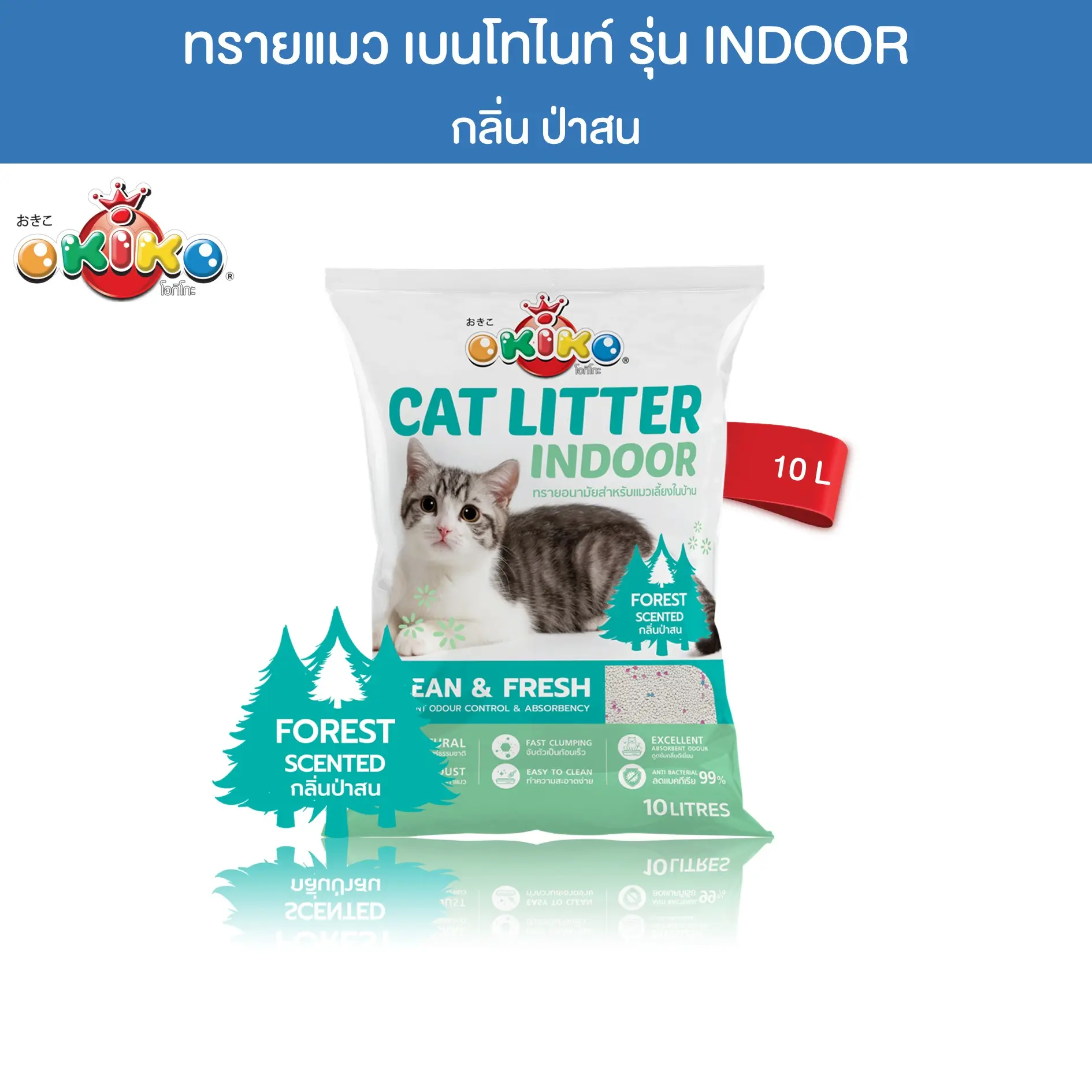 OKIKO ECO INDOOR กลิ่นป่าสน