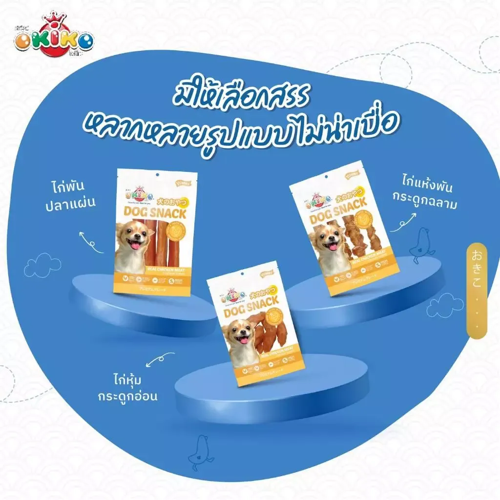OKIKO โอกิโกะ ขนมสุนัข ไก่พันปลาเส้น ขนาด 250 กรัม
2