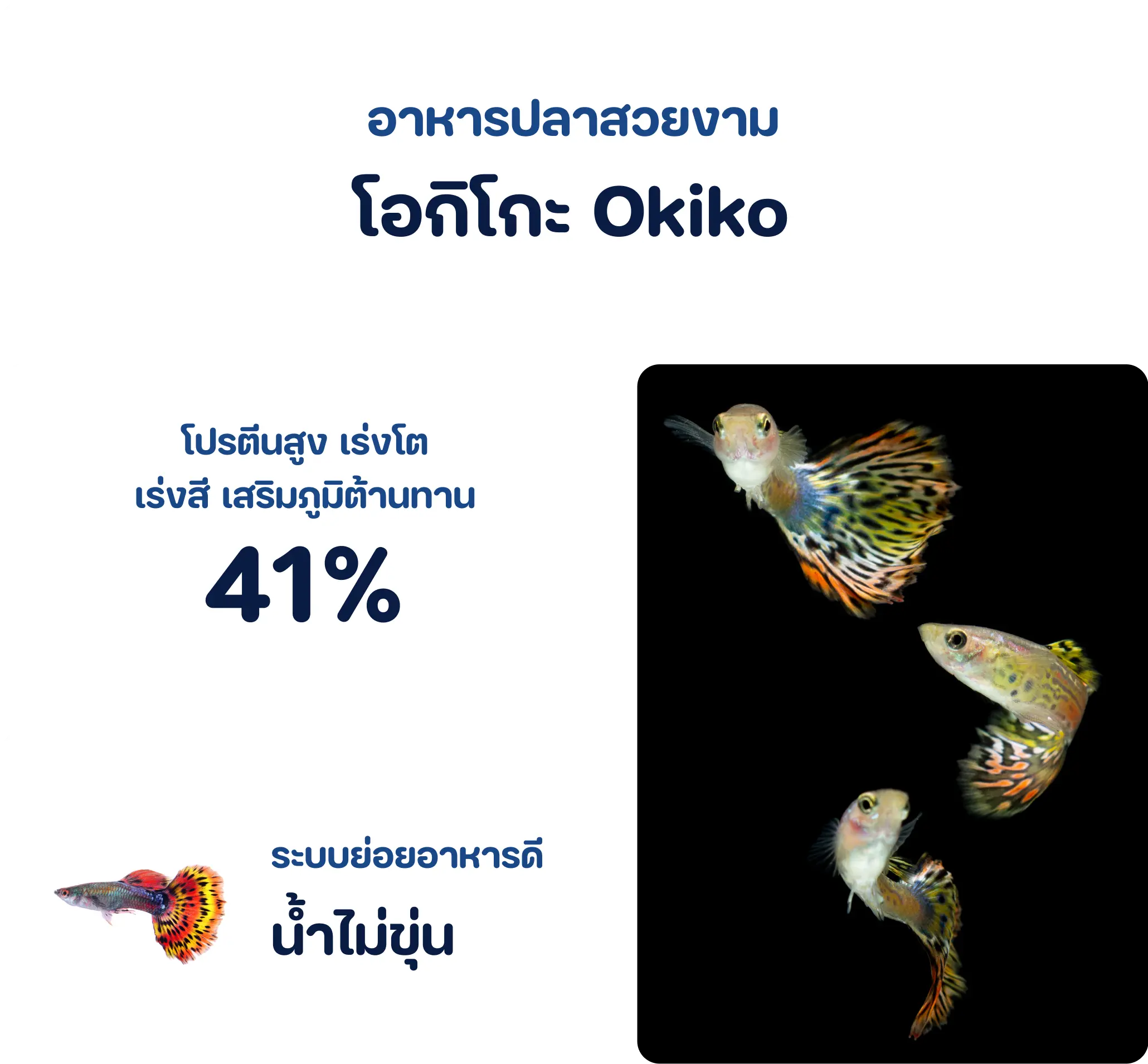 OKIKO BASIC RED COLOR – Ornamental Fish Food 1kg OKIKO BASIC RED COLOR – Ornamental Fish Food 1kg