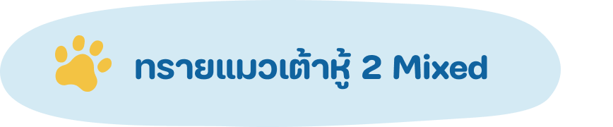 ทรายแมวเต้าหู้มิกซ์