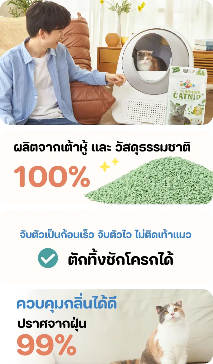 OKIKO ทรายแมวเต้าหู้กลิ่นลาเวนเดอร์ ขนาด 6 ลิตร (ทรายแบบแท่งขนาด 2 มิล.) OKIKO ทรายแมวเต้าหู้กลิ่นลาเวนเดอร์ ขนาด 6 ลิตร (ทรายแบบแท่งขนาด 2 มิล.)