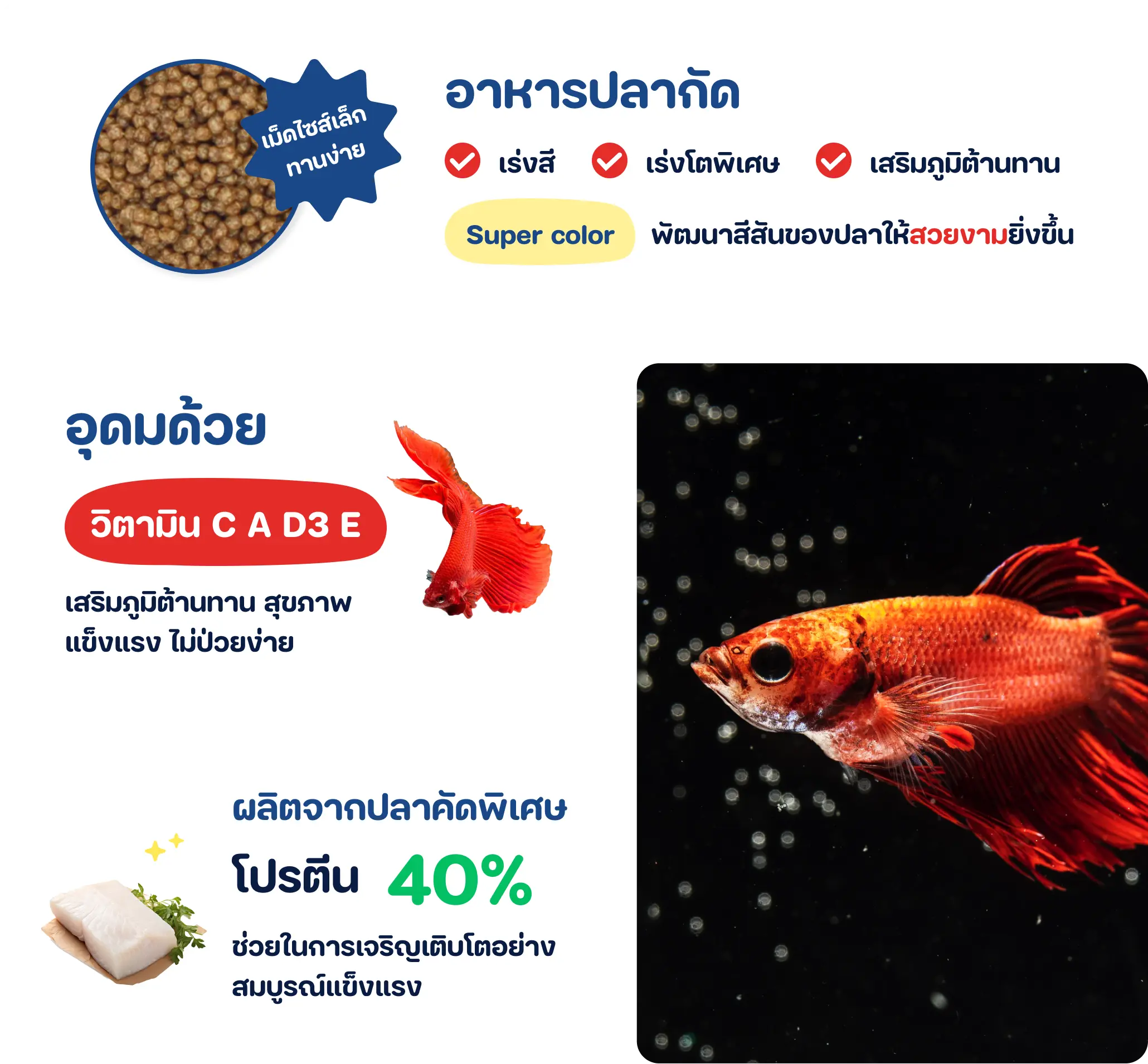 OKIKO BETTABRIGHT – Vibrant Color Enhancing Food for Betta Fish (20g) OKIKO BETTABRIGHT – Vibrant Color Enhancing Food for Betta Fish (20g)