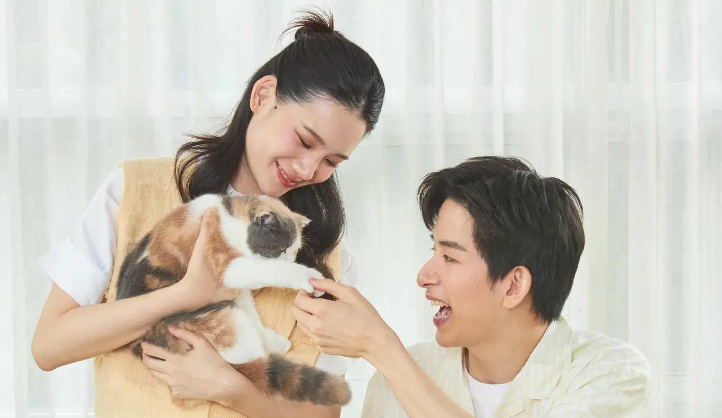 Okiko อาหารแมวโอกิโกะเกรดพรีเมียม