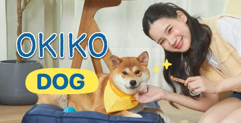 Okiko ขนมสุนัขแบบแท่งจากเนื้อไก่