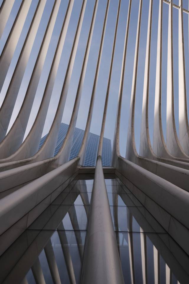 Oculus Ribbed Ceiling