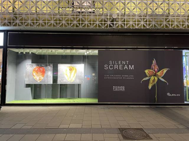 Silent Scream Gerngross Schaufenster Nacht