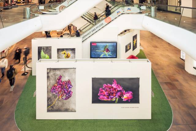 Richard Fischer Blumenausstellung im Kaufhaus