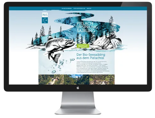 Pius Saibling Website Mockup Desktop