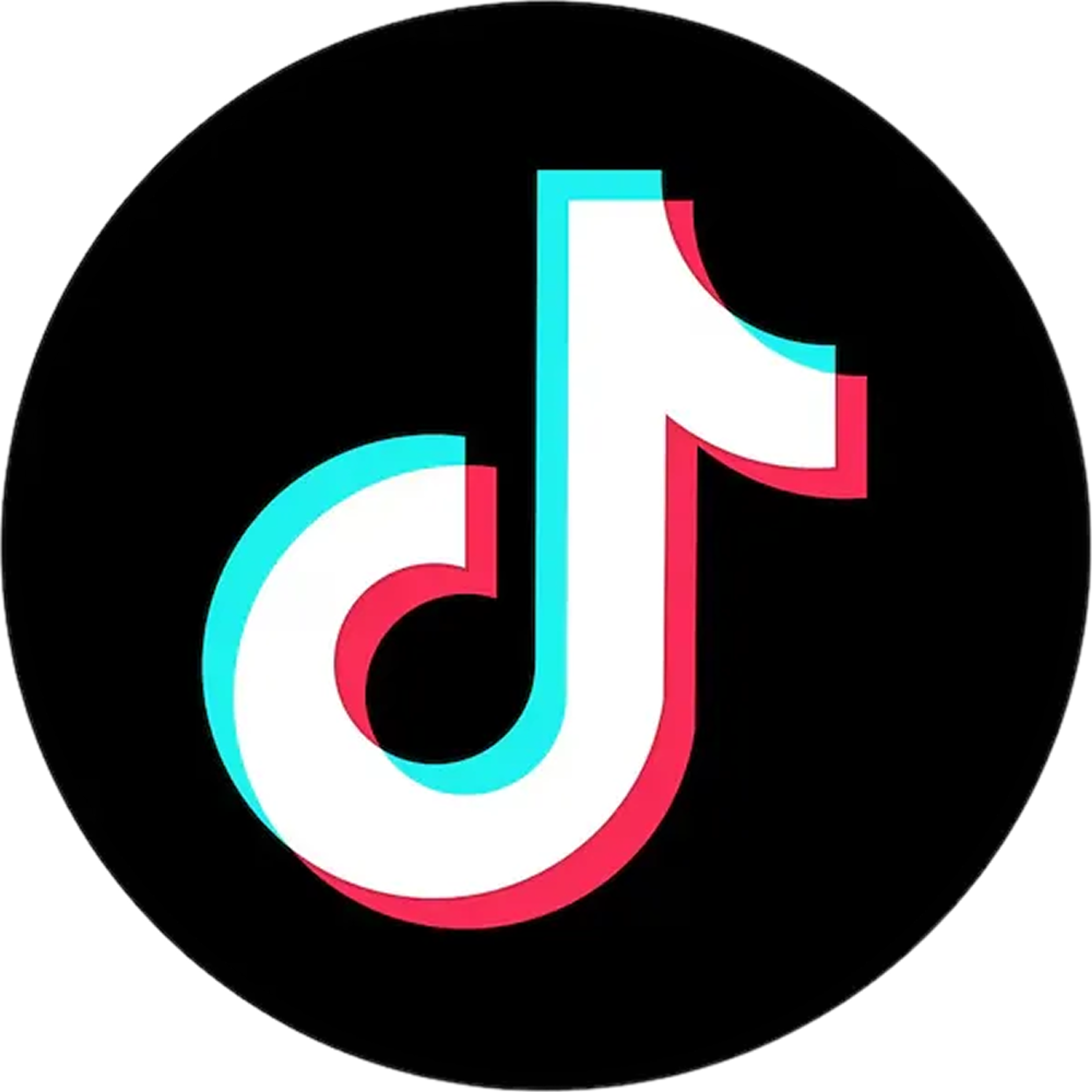 TikTok Logo