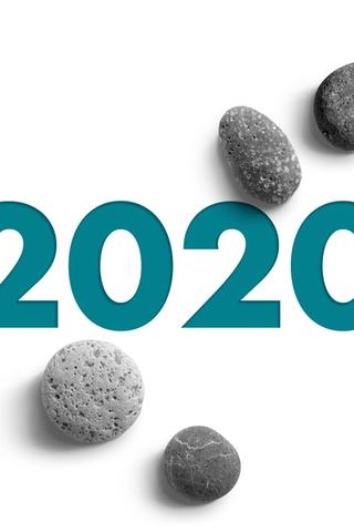 Year 2020