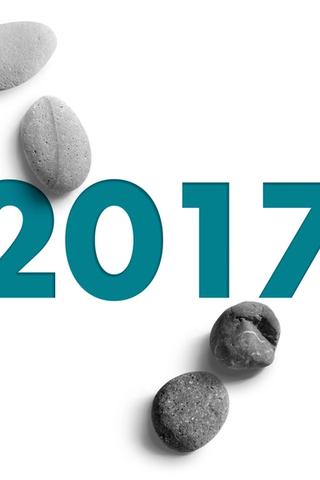 Year 2017