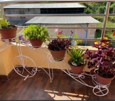 Cycle design 5 pot holder white