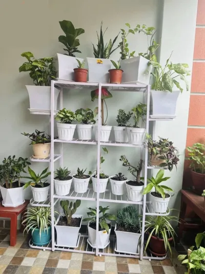 Vertical Farming Stand Huge