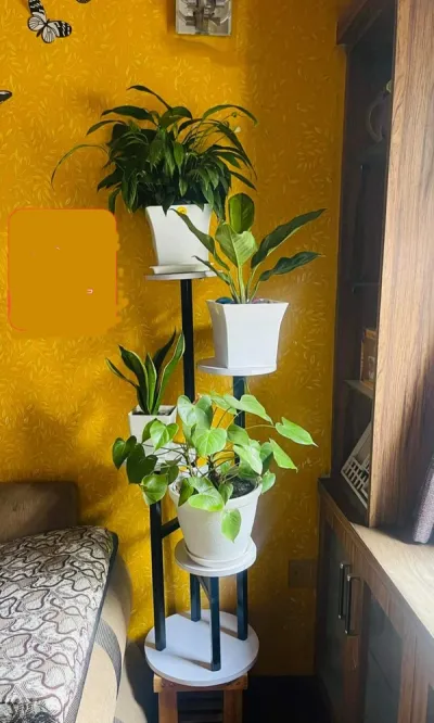 Indoor 4 pot floating circles