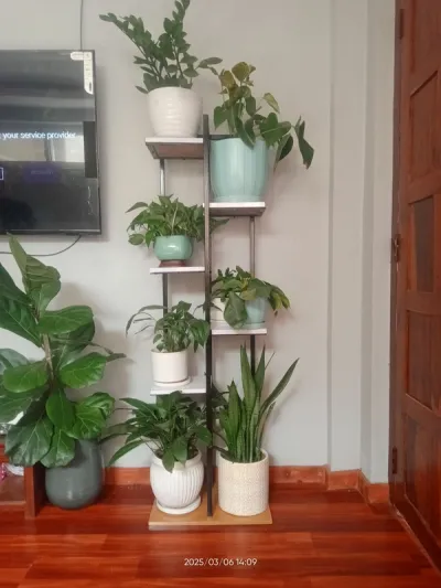 Indoor 7 pot holder Tall