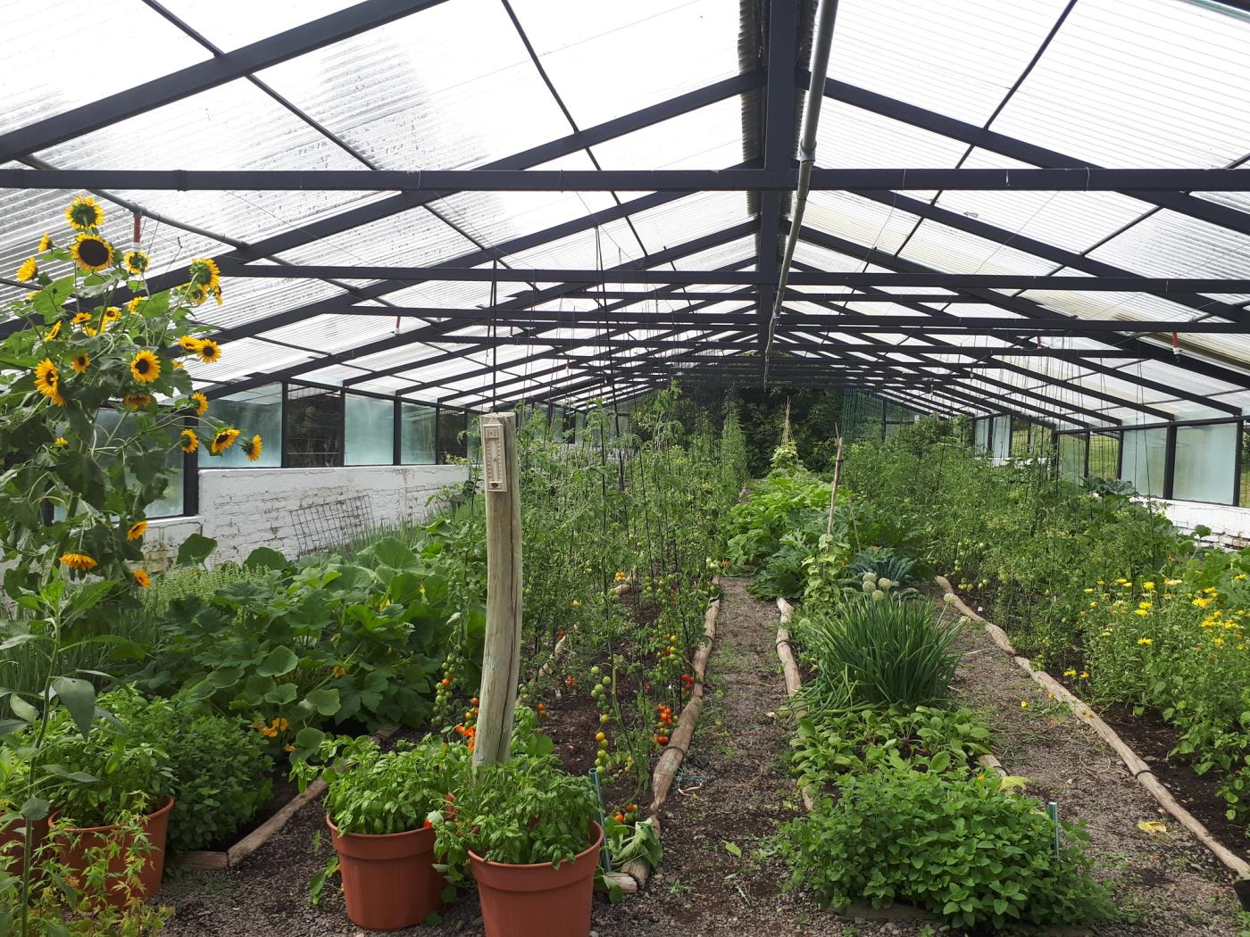 Huerta de Avataras Meliquina