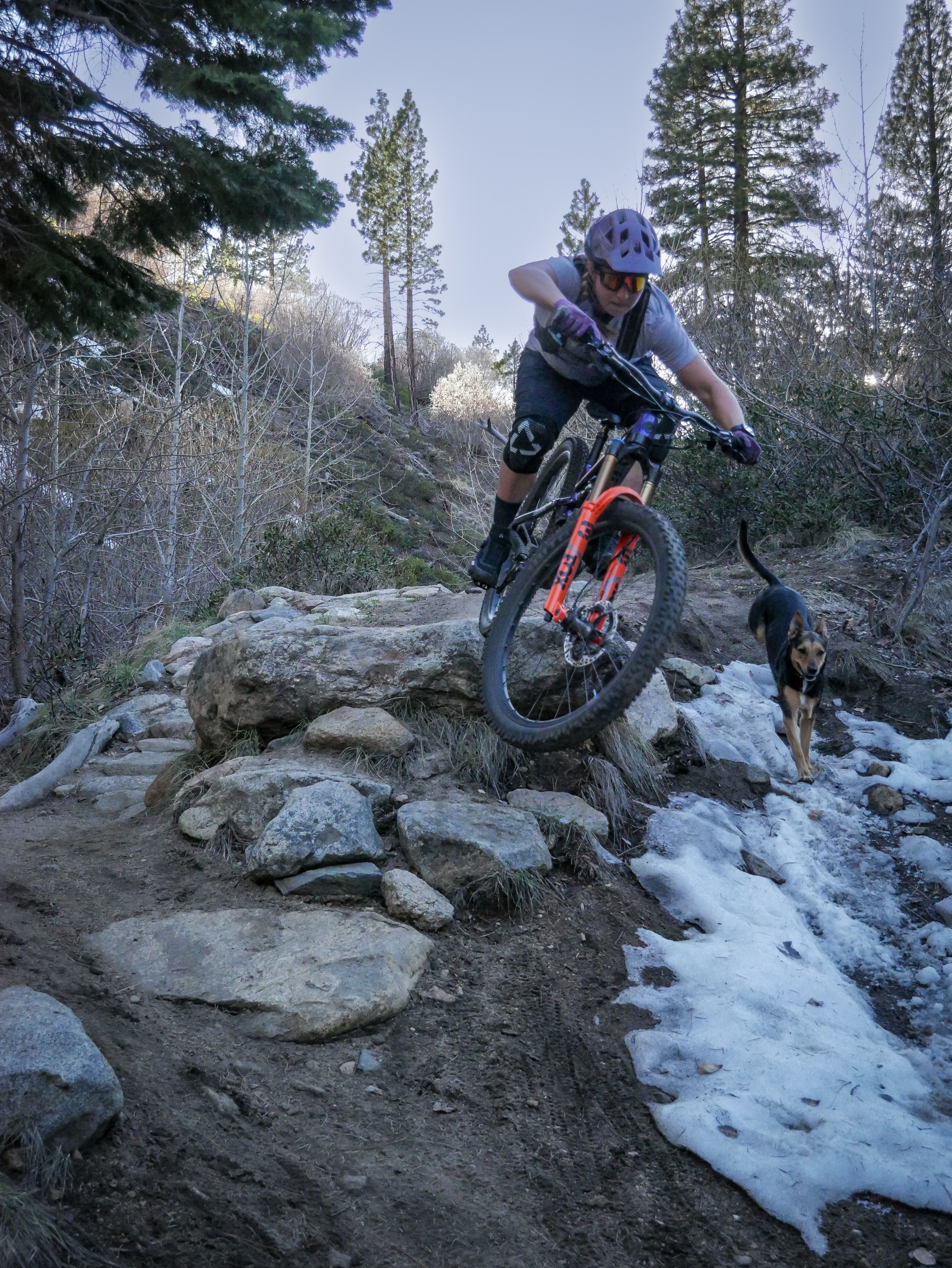 Mountain biking in Ash Canyon, Carson City