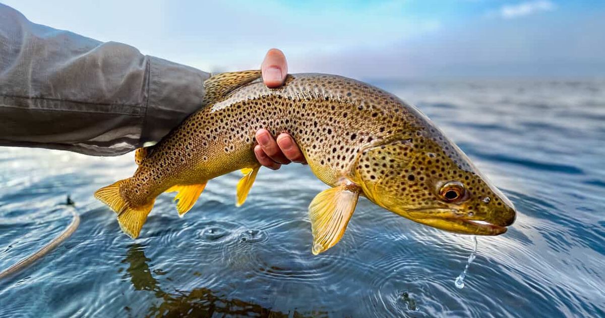 best lures for fishing lake of the woods Wisconsin Bass Fishing Guide